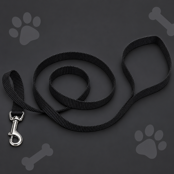 Coastal Pet Nylon Dog Lead – Black, 4 ft x 5/8 in