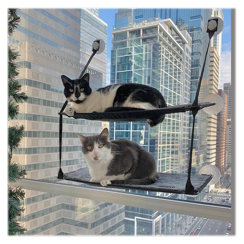 Cat Accessories
