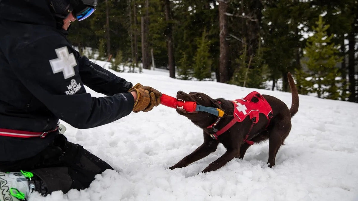 Ruffwear Pacific Ring_Tumalo Teal_Large