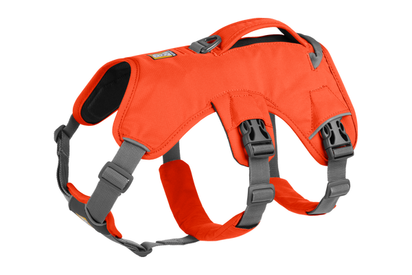 Ruffwear WebMaster Harness