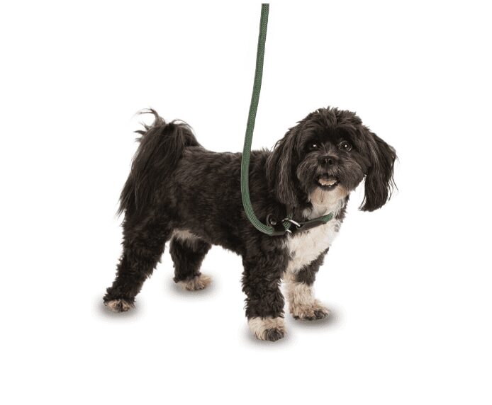 Company of Animals Clix 3-in-1 Slip Lead – Brown, Large (1.7m)