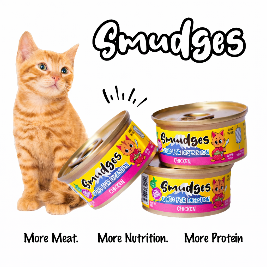 Smudges Kitten Chicken Shredded in Gravy 60g