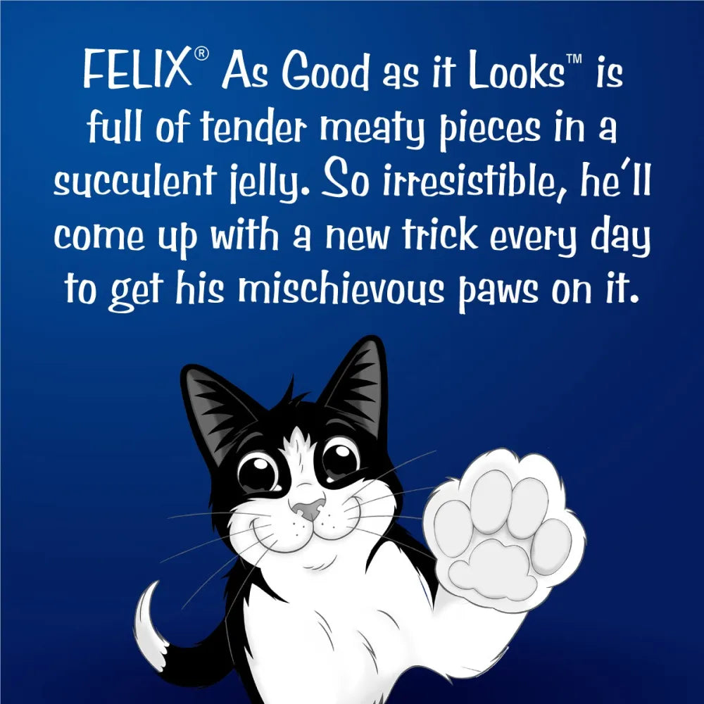 Felix Salmon in Jelly Complete & Balanced Adult Cat Wet Food (Pack of 6)