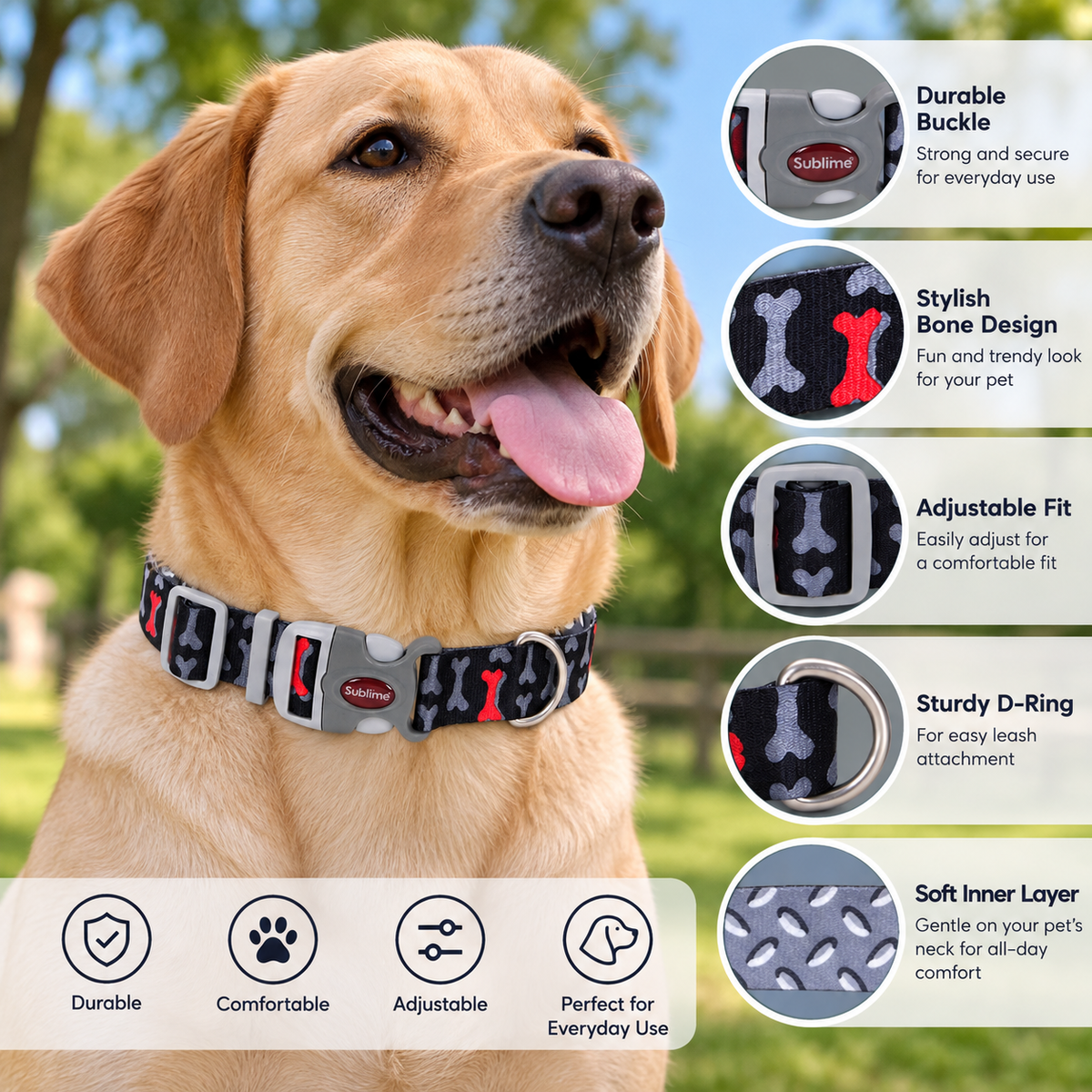 Coastal Pet Products Sublime Adjustable Dog Collar – Bones Metal Plate, 1.5" x 18–26"