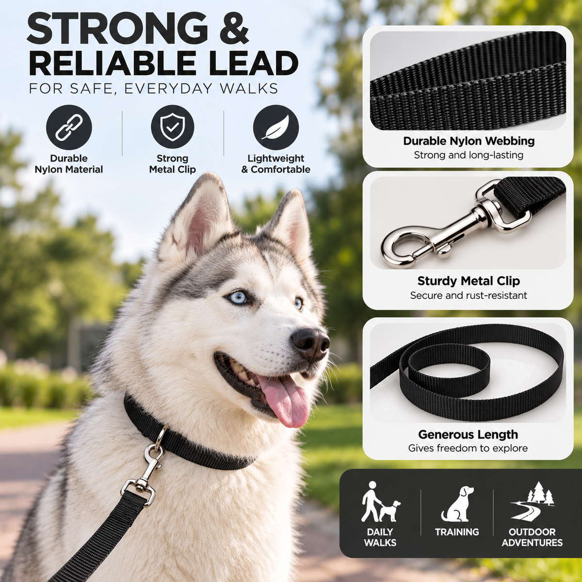 Coastal Pet Nylon Dog Lead – Black, 4 ft x 5/8 in