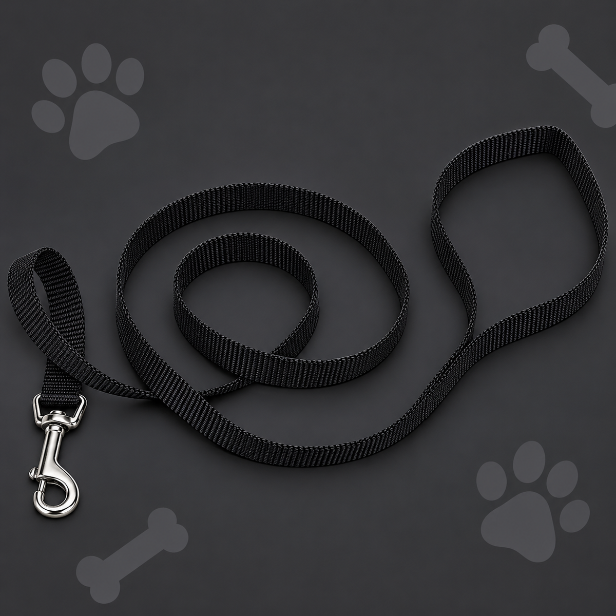 Coastal Pet Nylon Dog Lead – Black, 4 ft x 5/8 in