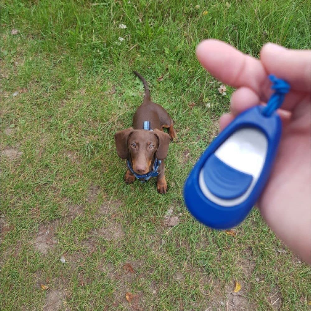 Company of Animals Clix Multi Clicker