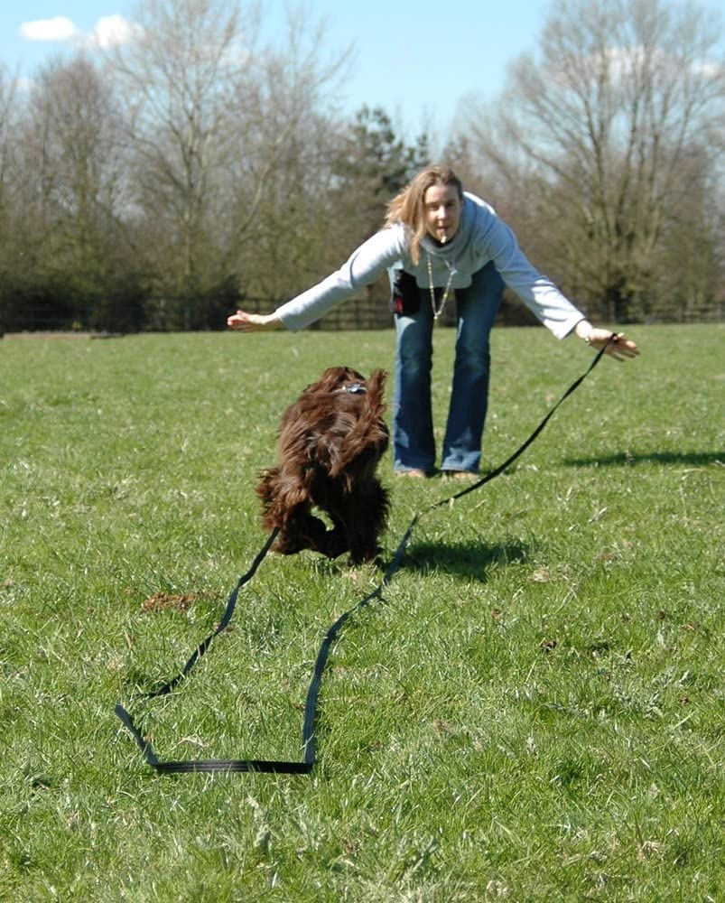 Company of Animals Clix Multi Purpose Dog Whistle