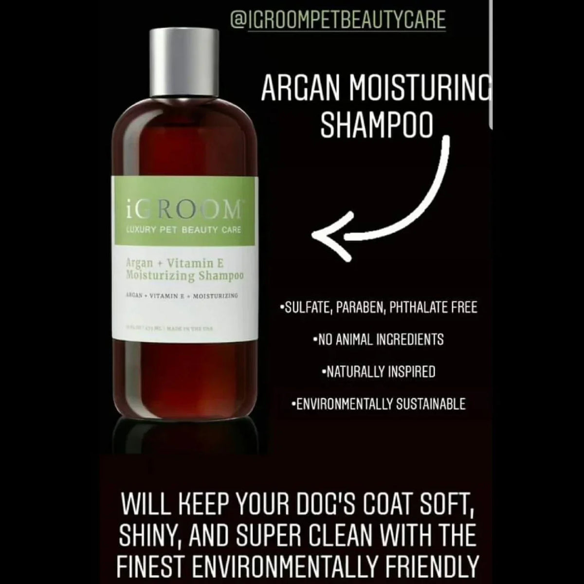 IGroom Argan + Vitamin E shampoo