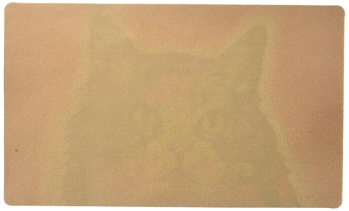 Drymate Cat Placemat – Ragamuffin (12 x 20 Inches)