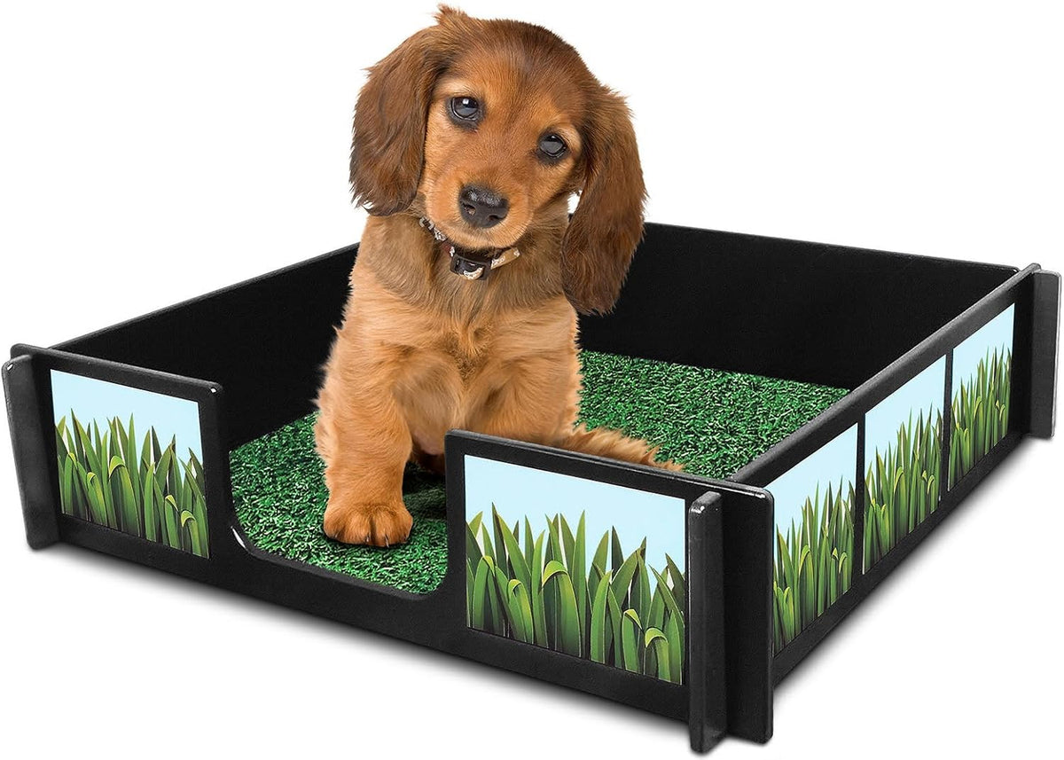 Drymate Potty Rink – 64 x 64 Inches with Accessories & Free Mat