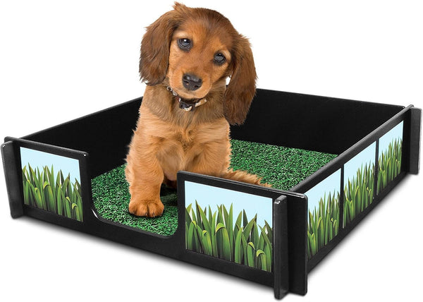 Drymate Potty Rink – 64 x 64 Inches with Accessories & Free Mat