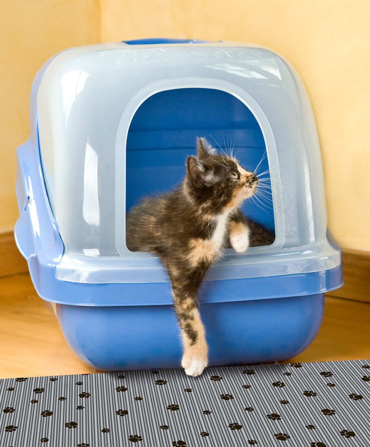 Drymate Scented Litter Box Mat for Pets – Grey (20 x 28 Inches)