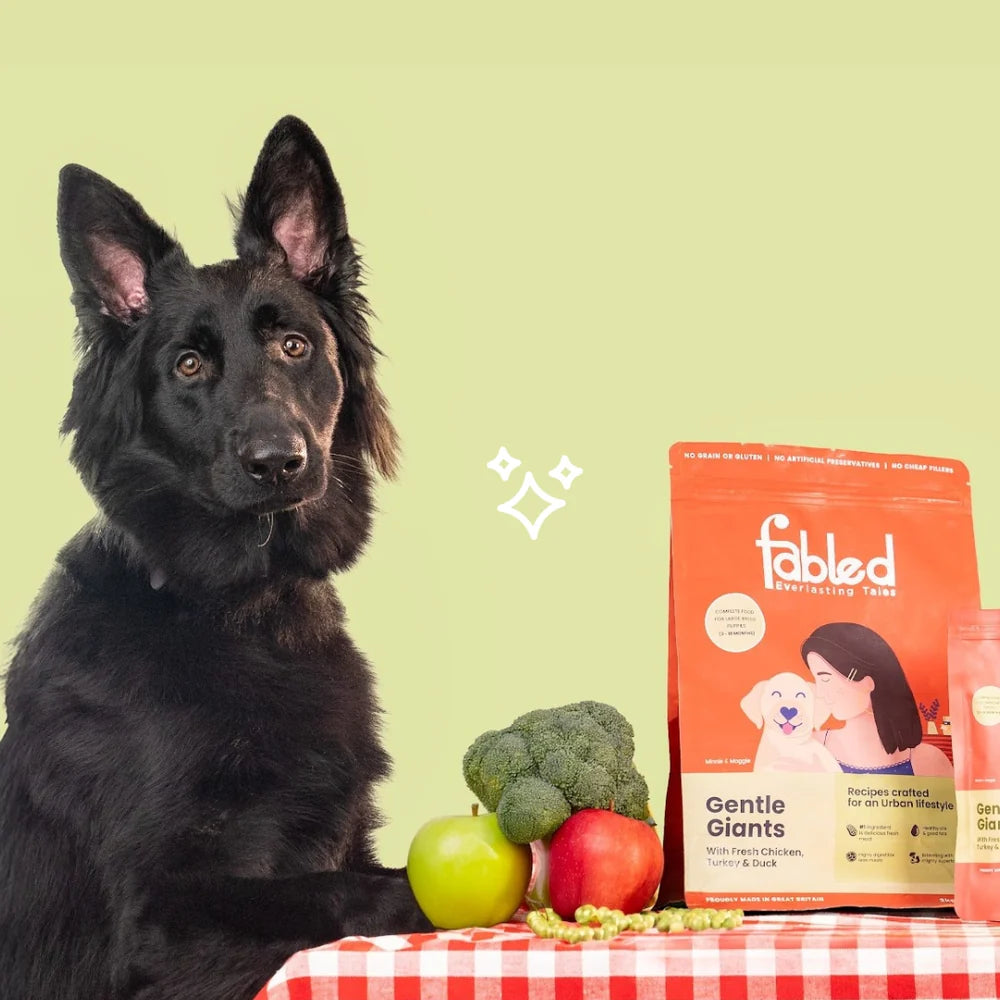 Fabled Gentle Giants – Complete Starter Food for Large Breed Puppies (3–18 Months)
