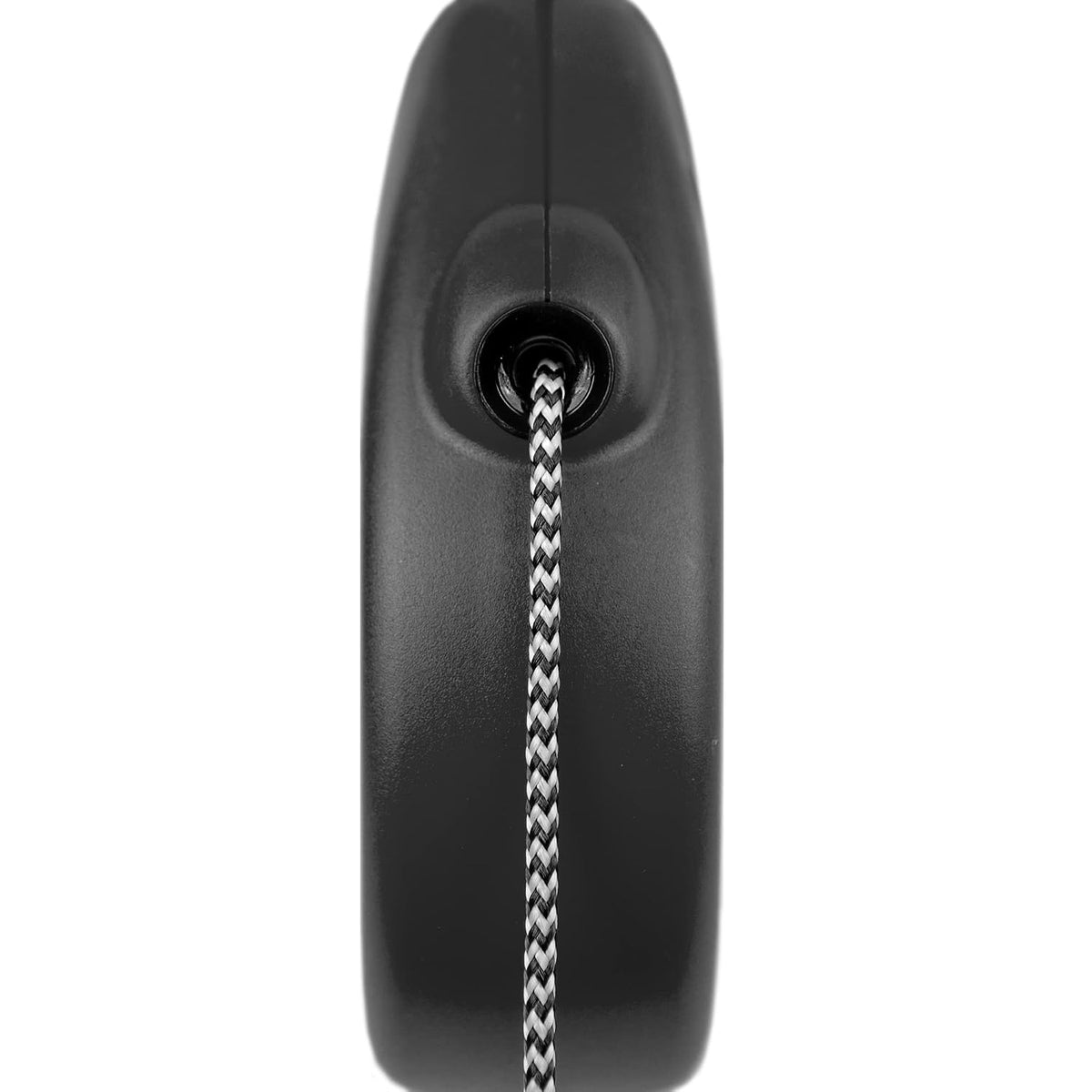 Flexi Standard Tape Retractable Dog Lead – Black (5m)