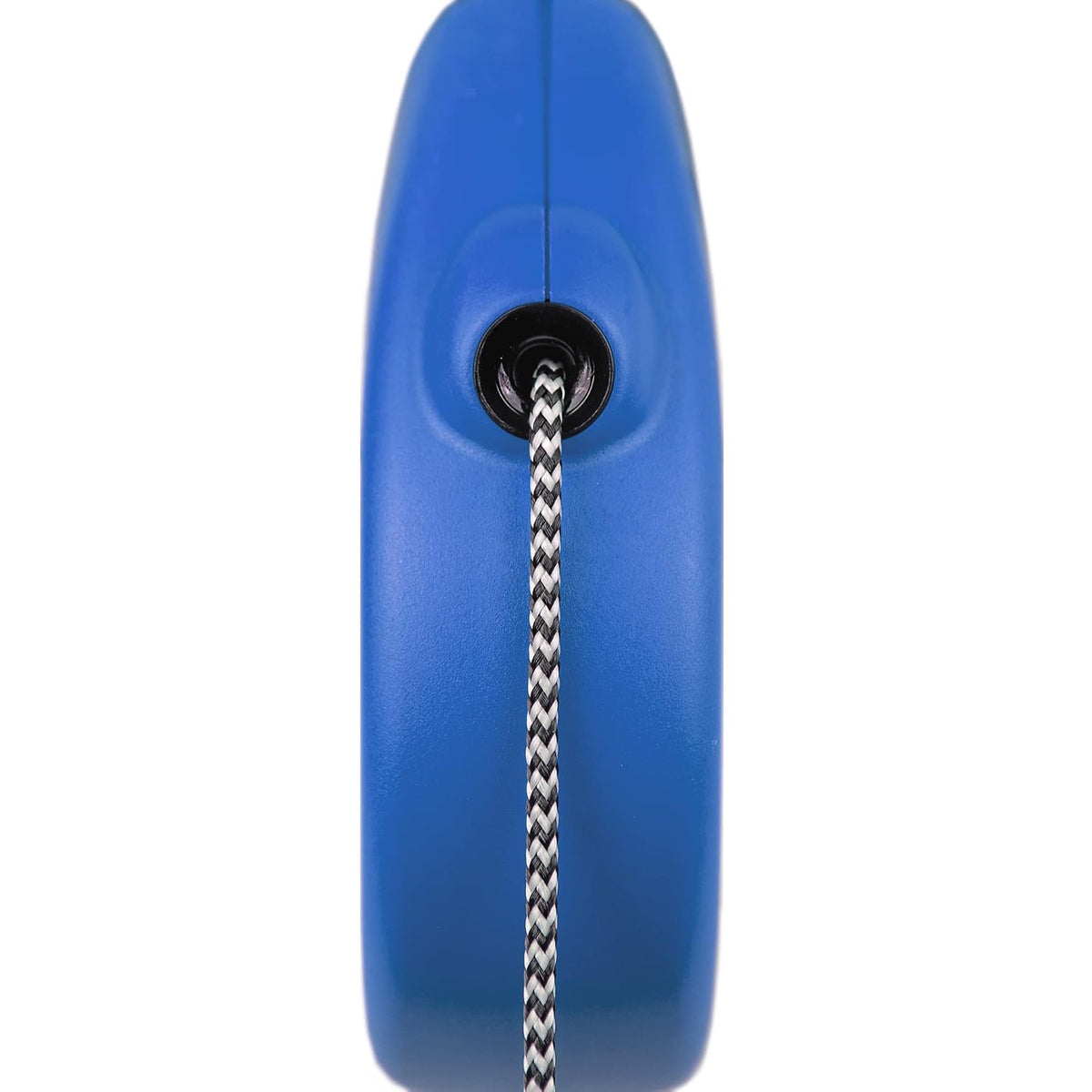 Flexi Standard Tape Retractable Dog Lead – Blue (5m)