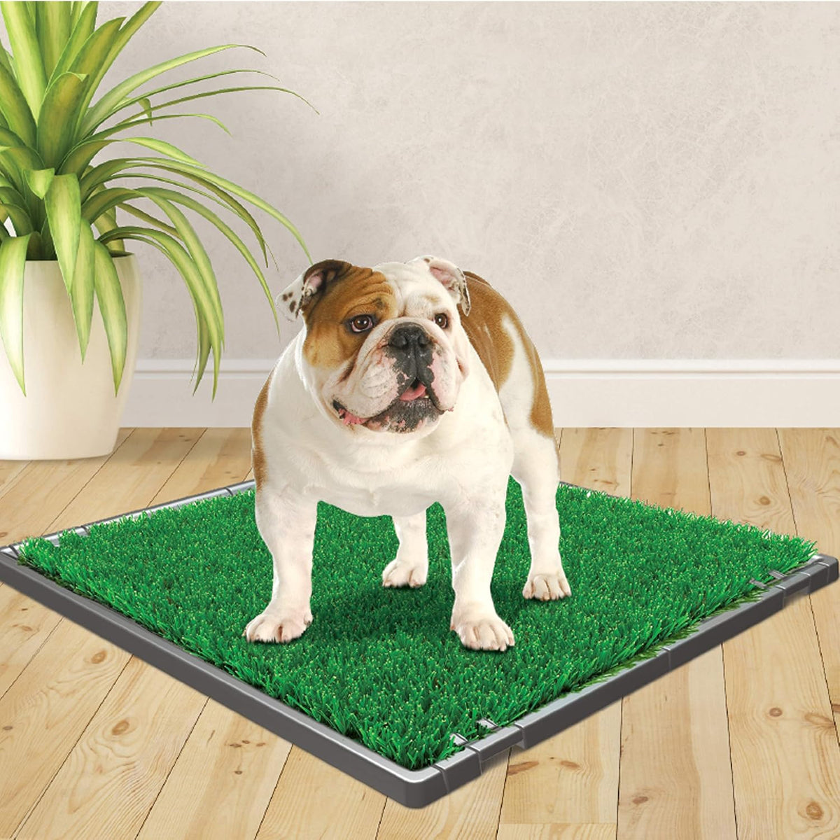 Four Paws Wee-Wee Premium Grass Patch Pet Potty