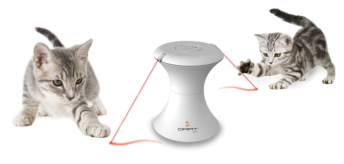 PetSafe FroliCat DART DUO Automatic Rotating Laser Light