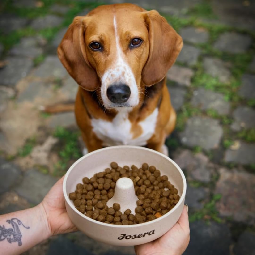 Josera High Protein Sea Fish (Poultry & Trout) Dog Food 12.5kg