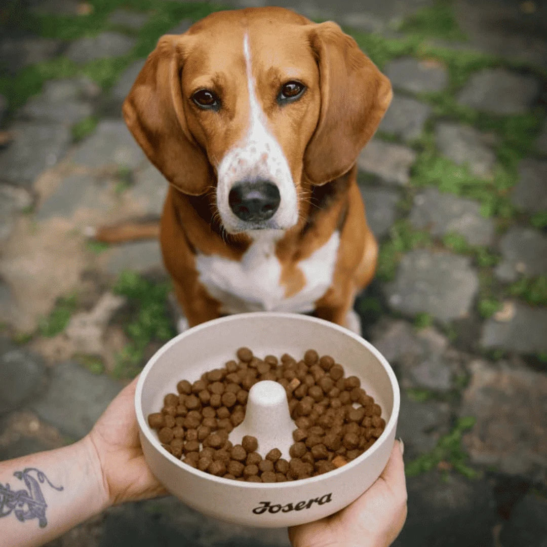 Josera High Protein Sea Fish (Poultry & Trout) Dog Food 3kg