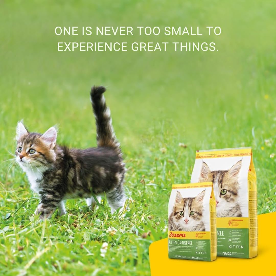 Josera Kitten Grain Free Cat Food 2kg
