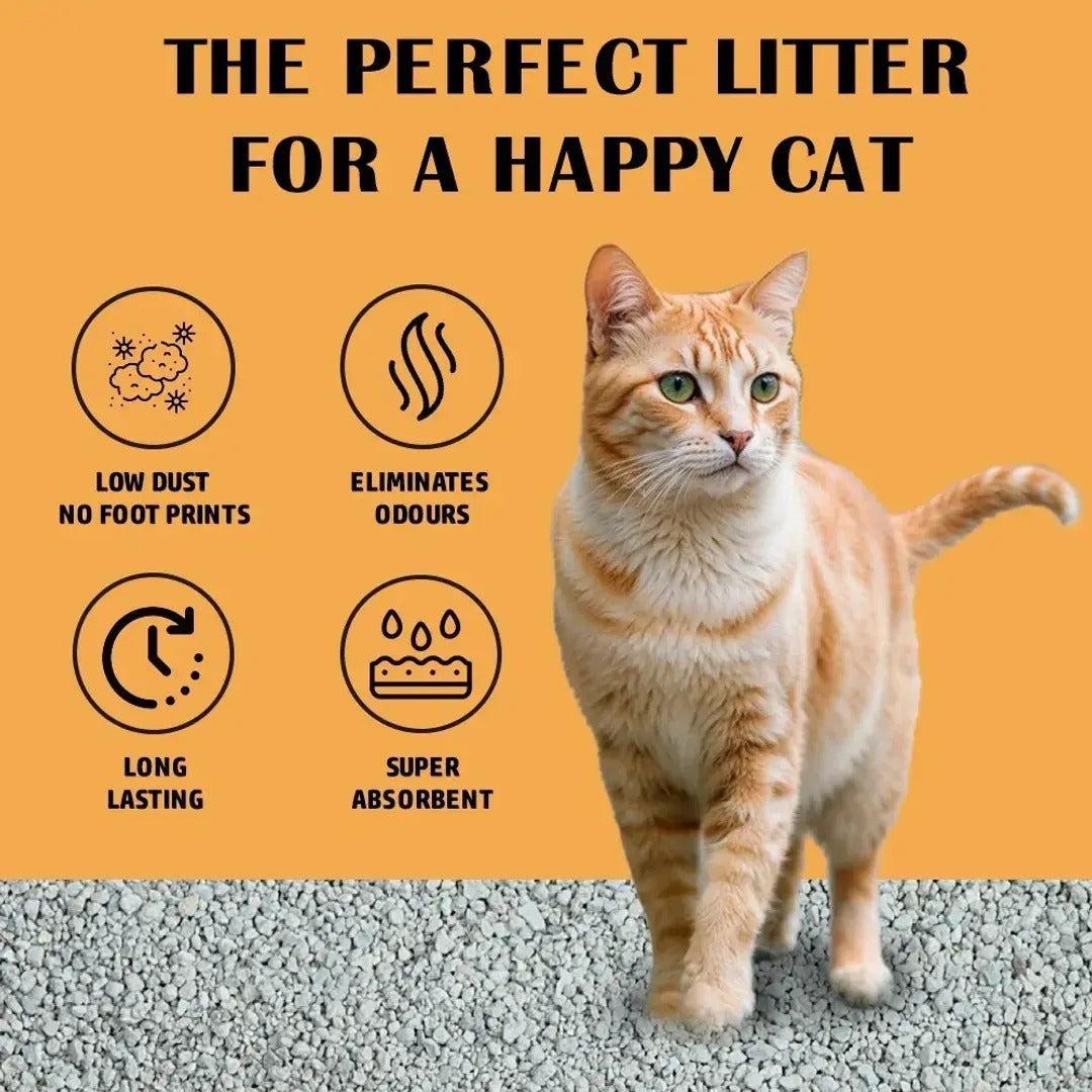 Smudges Eco cat Bentonite Clumping Cat Litter 20 Kgs - Lavender Scented
