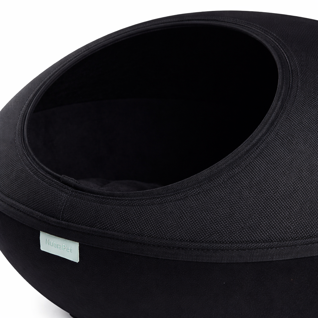 NutraPet Space Shuttle Pod Bed – Black