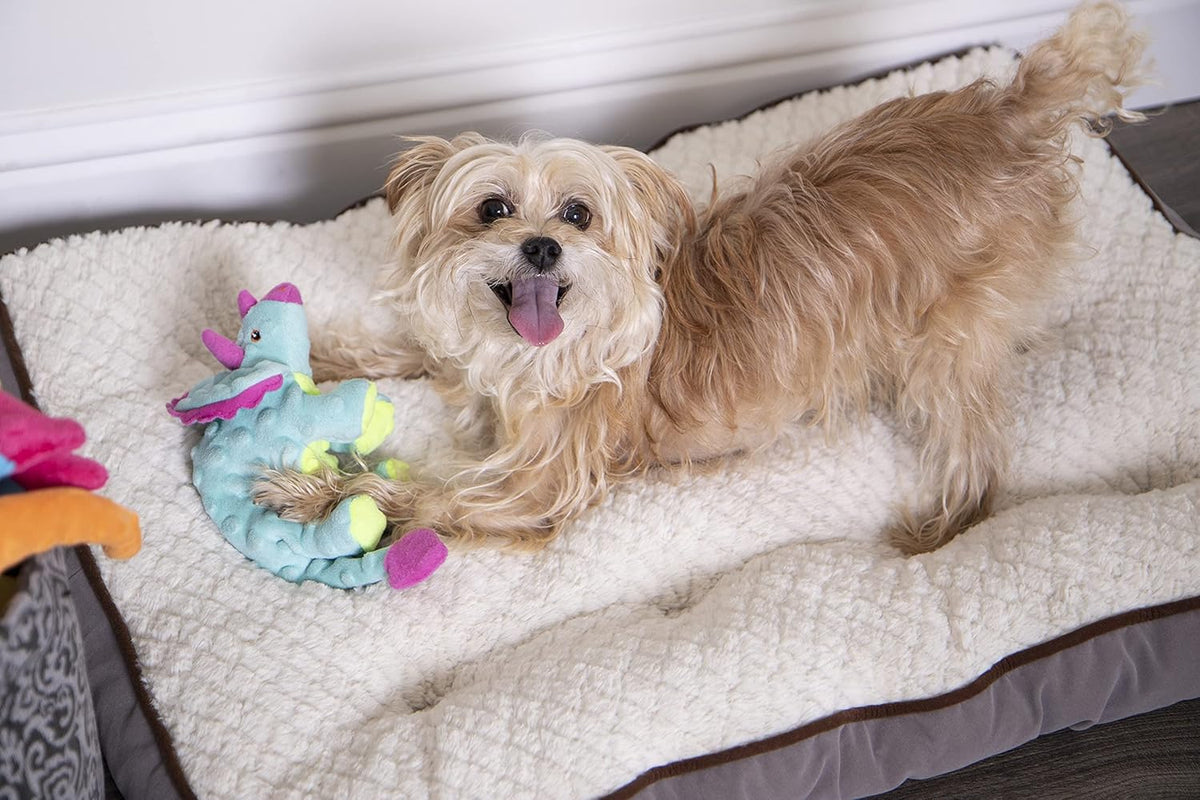 goDog Dinos Frills with Chew Guard Technology Durable Plush Squeaker Dog Toy – Teal, Small