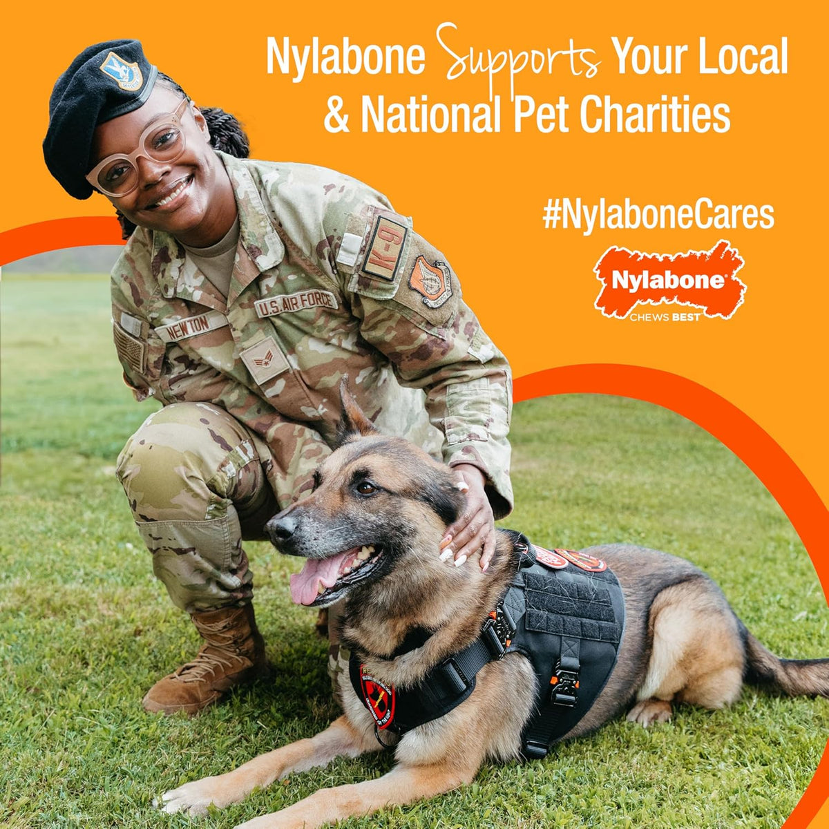 Nylabone DuraChew Cheese Bone – Large