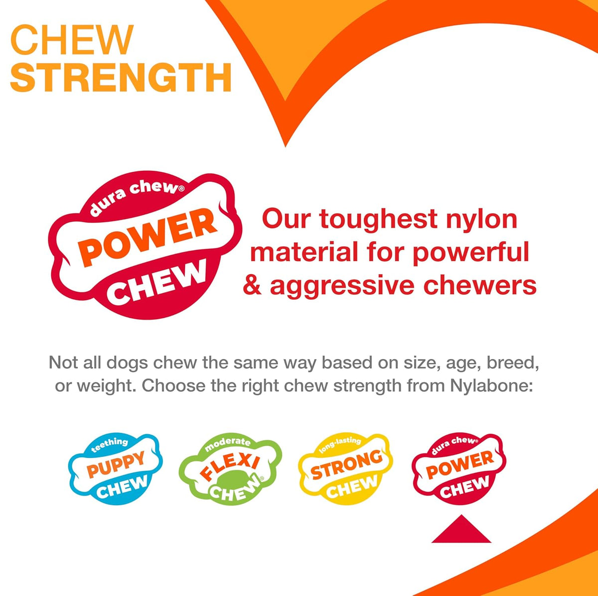 Nylabone DuraChew Cheese Bone – Large