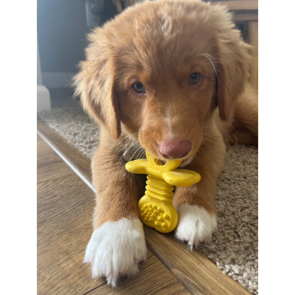Nylabone Puppy Teething Toy – Small