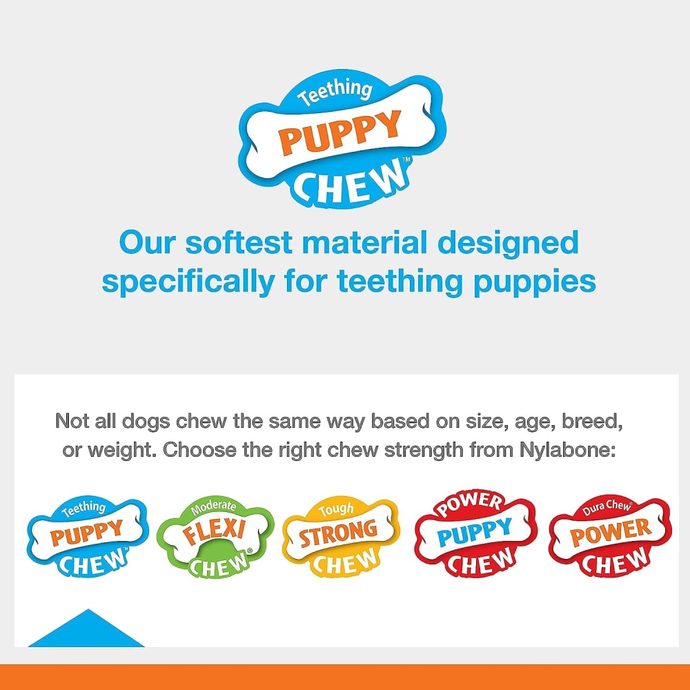 Nylabone Puppy Double Action Chew – Small