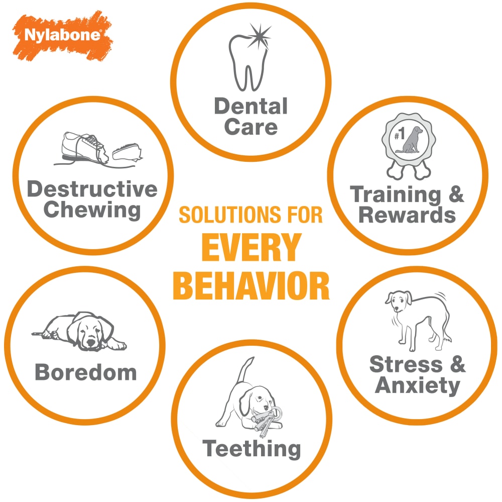 Nylabone Puppy Teething Toy – Small