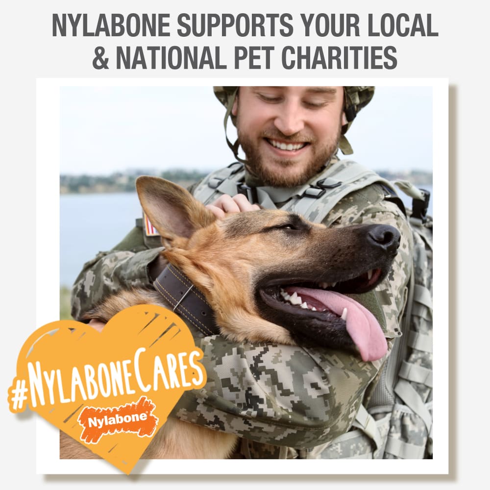 Nylabone Puppy Double Action Chew – Small