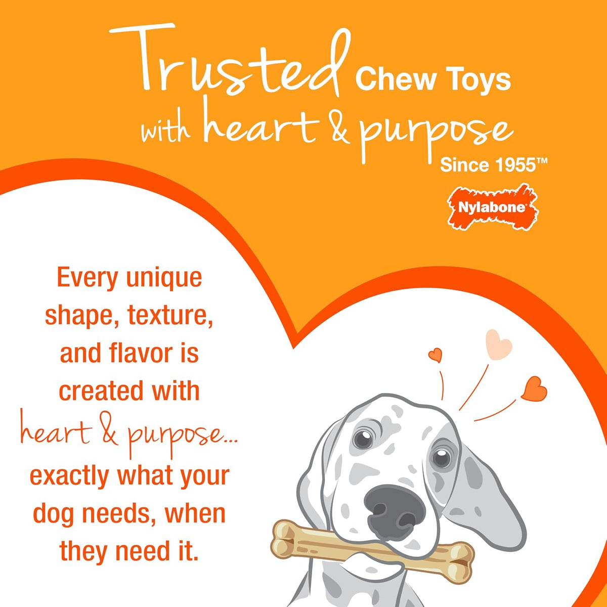 Nylabone Puppy Twin Pack Ring Flexi Combo Wolf