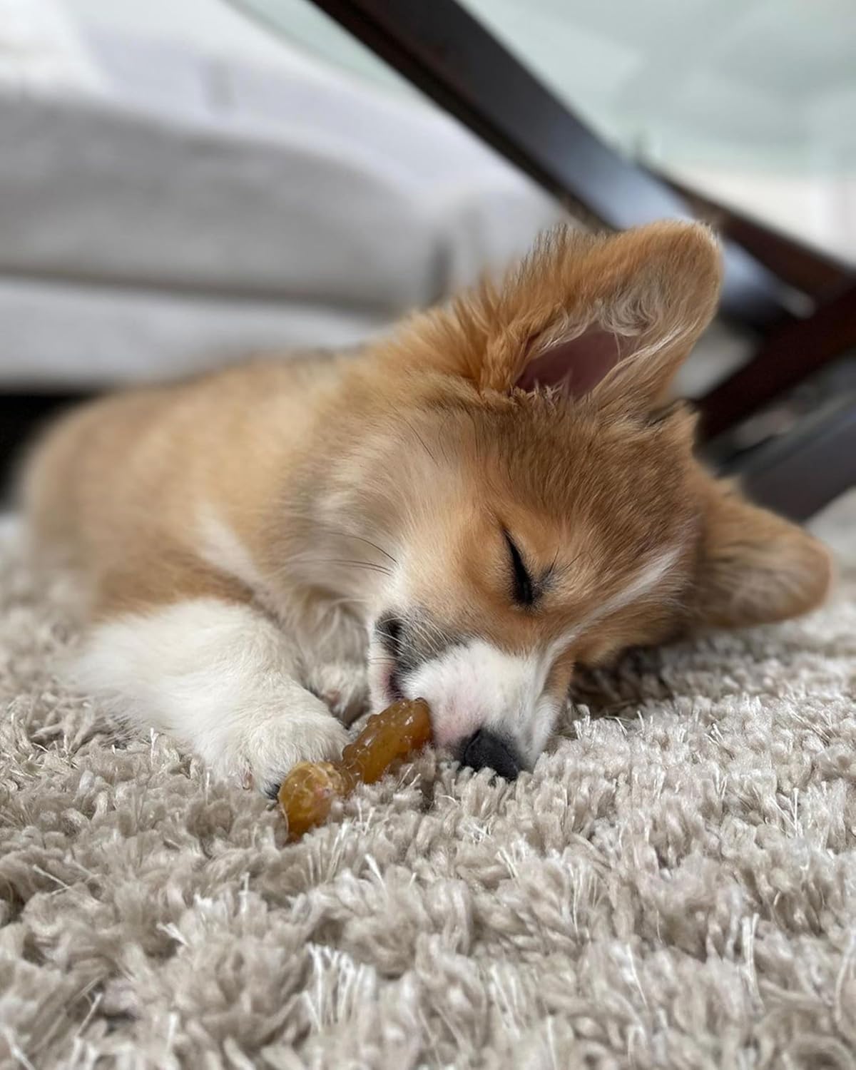 Nylabone Puppy Twin Pack Ring Flexi Combo Wolf