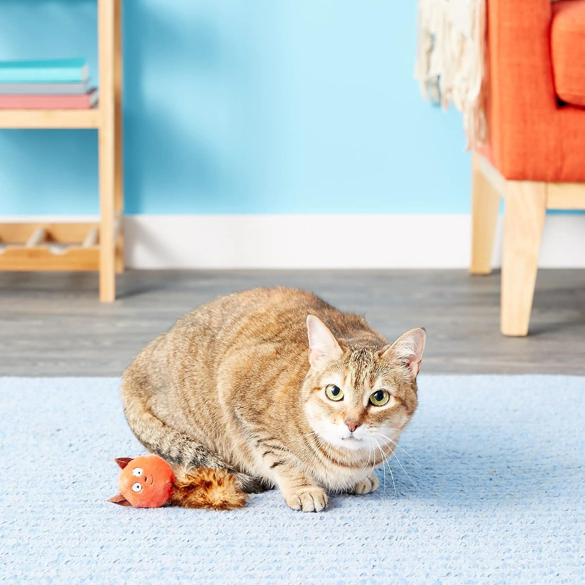 Petmate JW CatAction Catnip Squirrel Cat Toy