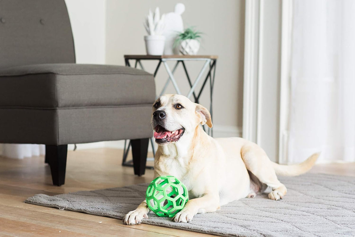 Petmate JW Hol-ee Treat Ball Dog Toy