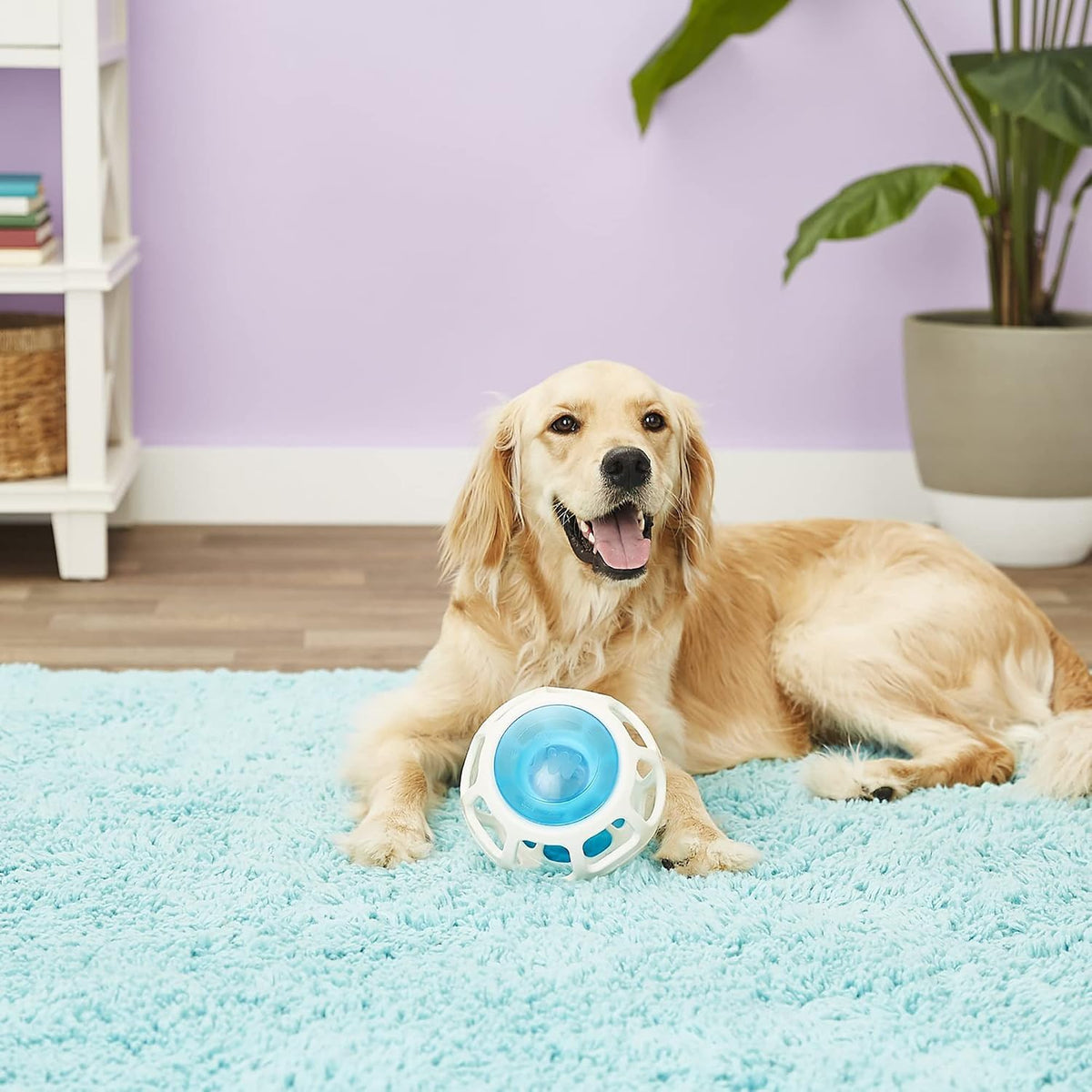 Petmate JW Rockin Treat Ball Dog Toy