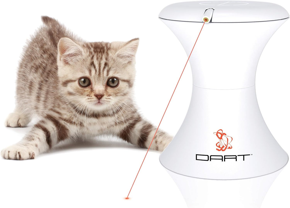 PetSafe FroliCat DART DUO Automatic Rotating Laser Light