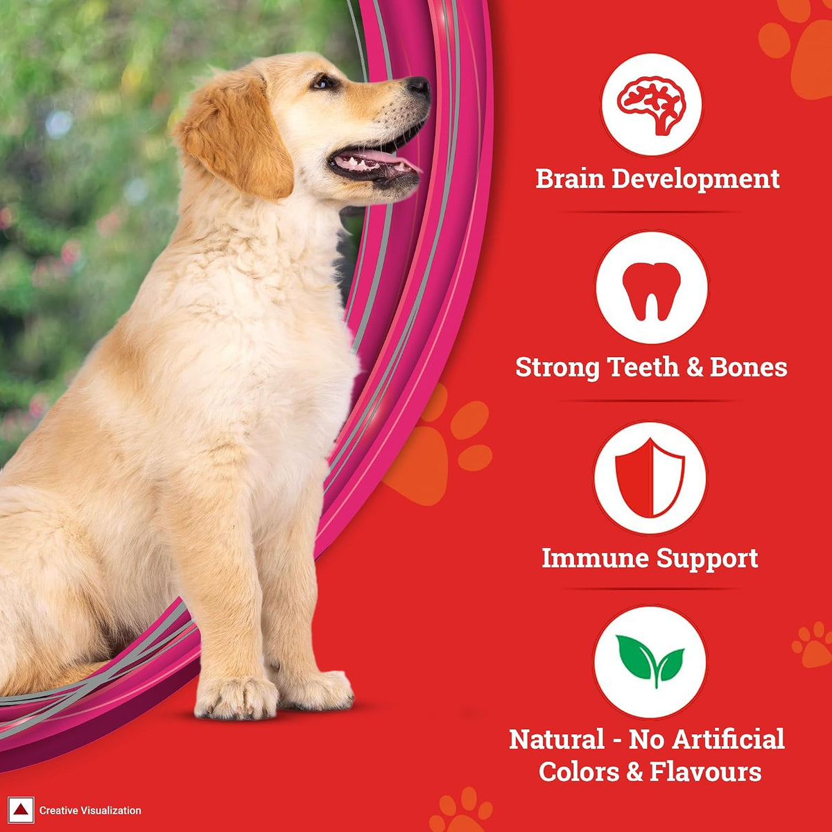 Purina SUPERCOAT Puppy All Breed Dry Dog Food with Chicken 10kg