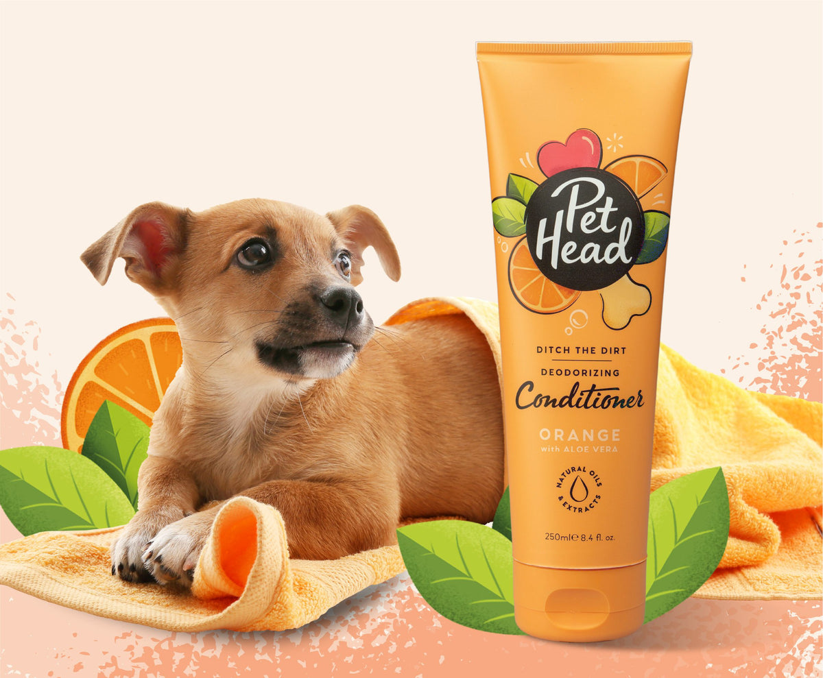 Pet Head Ditch The Dirt Deodorizing Dog Conditioner | Charcoal & Orange Oil | Odour Neutralising | Vegan & Cruelty-Free | 250ml