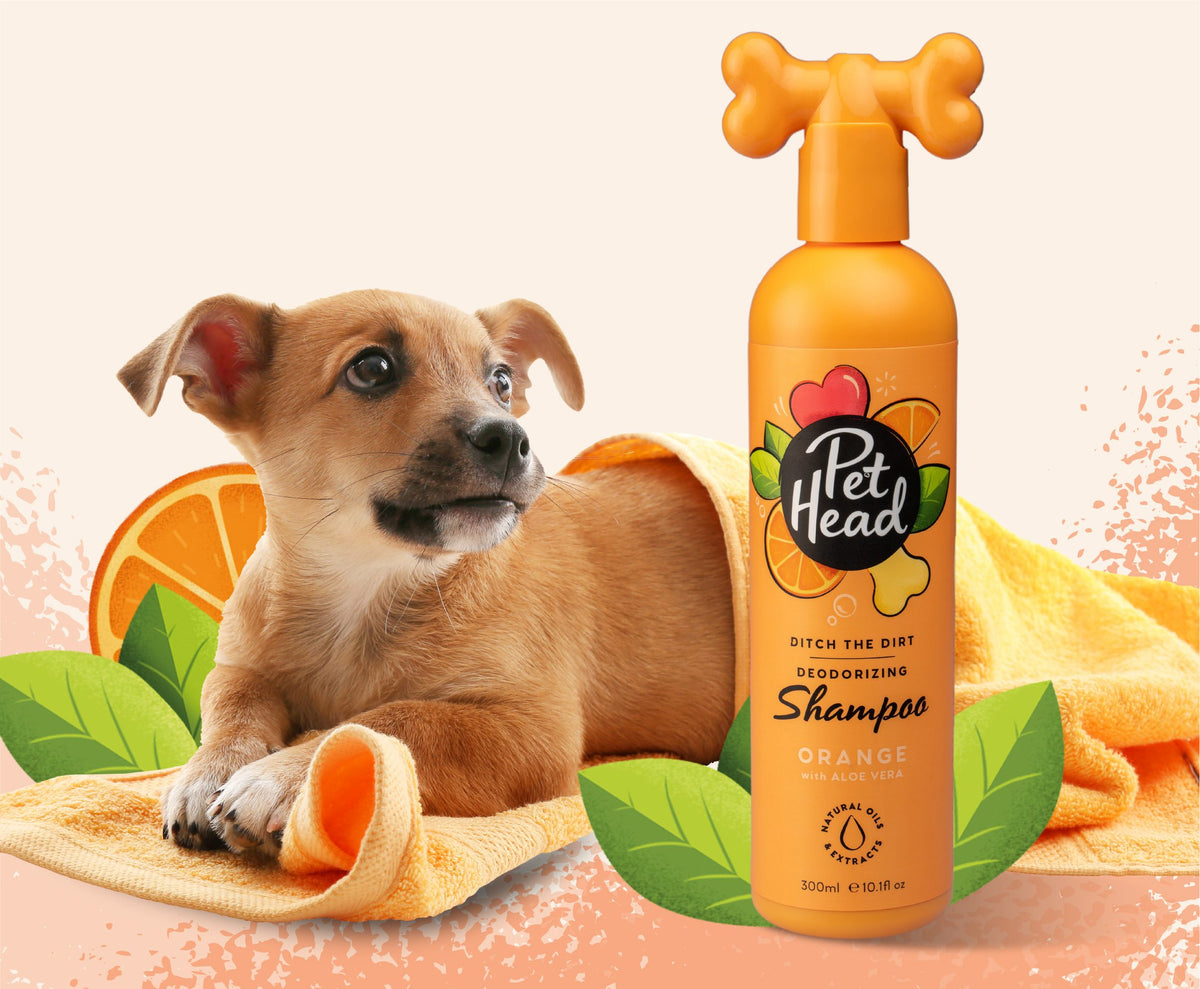 Pet Head Ditch The Dirt Deodorizing Dog Shampoo | Charcoal & Orange Oil | Odour Neutralising | Vegan & Cruelty-Free | 300ml