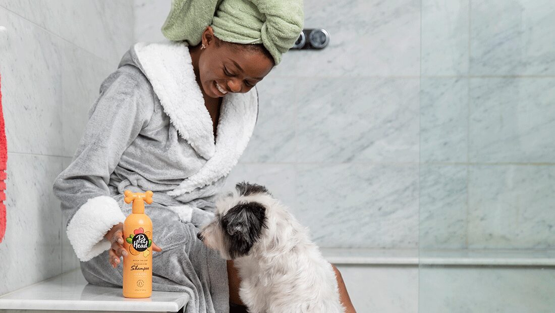 Pet Head Ditch The Dirt Deodorizing Dog Shampoo | Charcoal & Orange Oil | Odour Neutralising | Vegan & Cruelty-Free | 300ml