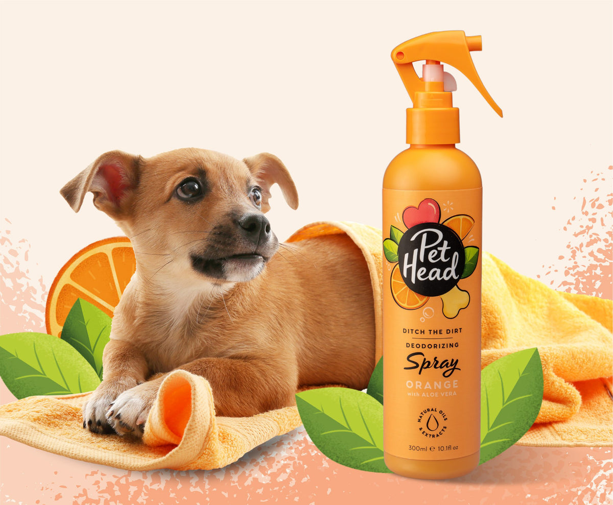 Pet Head Ditch The Dirt Deodorizing Dog Spray | No-Rinse | Charcoal & Orange Oil | Odour Neutralising | Vegan & Cruelty-Free | 300ml