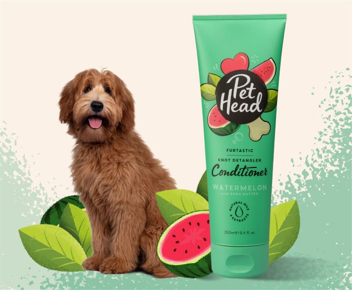 Pet Head Furtastic Knot Detangler Dog Conditioner | Long & Curly Coats | Shea Butter & Apricot Oil | Watermelon Scent | Vegan & Cruelty-Free | 250ml