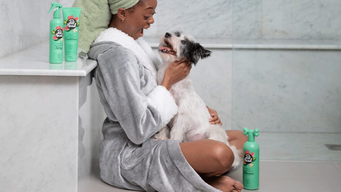 Pet Head Furtastic Knot Detangler Dog Conditioner | Long & Curly Coats | Shea Butter & Apricot Oil | Watermelon Scent | Vegan & Cruelty-Free | 250ml