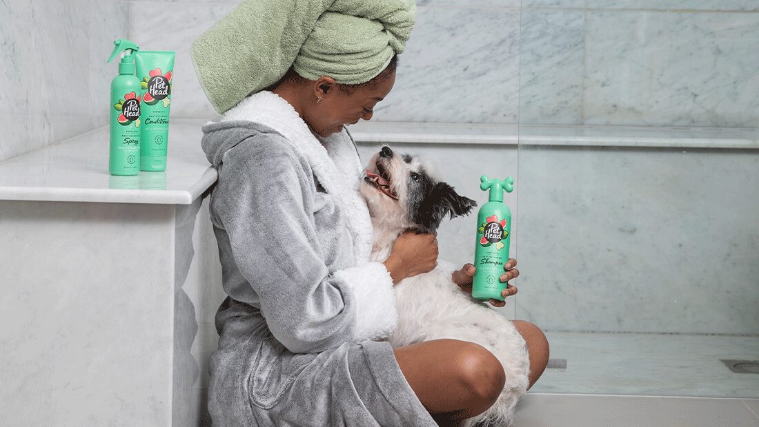 Pet Head Furtastic Knot Detangler Dog Conditioner | Long & Curly Coats | Shea Butter & Apricot Oil | Watermelon Scent | Vegan & Cruelty-Free | 250ml