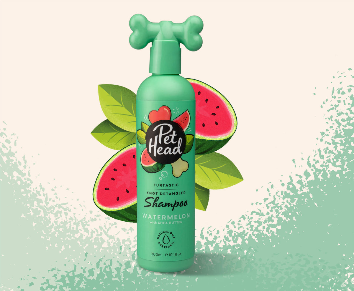 Pet Head Furtastic Knot Detangling Dog Shampoo | Long & Curly Coats | Shea Butter & Apricot Oil | Watermelon Scent | Vegan & Cruelty-Free | 300ml