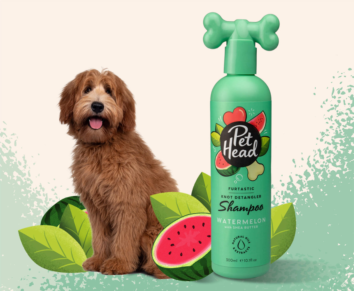 Pet Head Furtastic Knot Detangling Dog Shampoo | Long & Curly Coats | Shea Butter & Apricot Oil | Watermelon Scent | Vegan & Cruelty-Free | 300ml